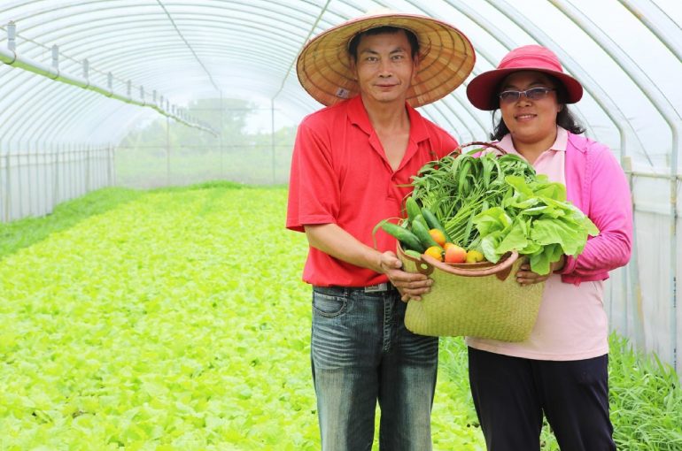 桃園領鮮蔬果禮盒發表上市